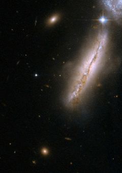 天体ミルキーウェイ