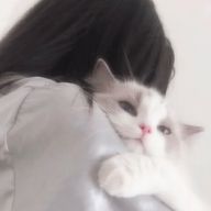 t5wさんのアイコン画像