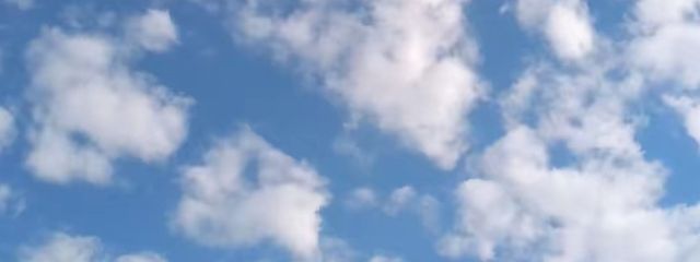 らいむ🍋🍀さんの壁紙画像