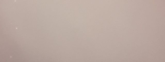 ぬこちさんの壁紙画像