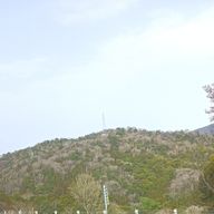 ニナさんのアイコン画像