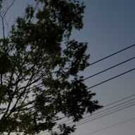 そるてぃさんのアイコン画像