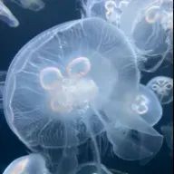 ちかさんのアイコン画像