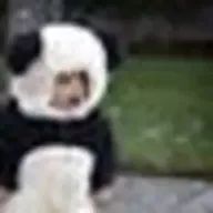 aotoooo__さんのアイコン画像