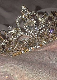        𝘗𝘳𝘪𝘯𝘤𝘦𝘴𝘴  ⸝⸝⸝