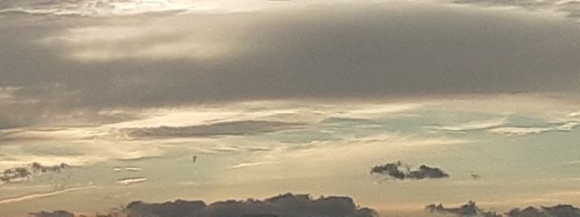 らんぐさんの壁紙画像