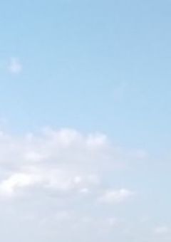 絶対に忘れられない青春を【 参加型 】