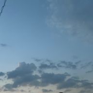 ののさんのアイコン画像