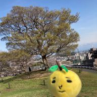 ねこすいさんのアイコン画像