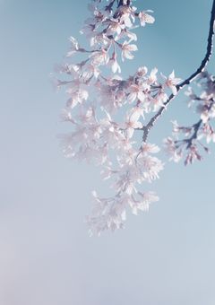 【⠀ sxxn ︎︎ ︎︎ ︎︎ 】短編集