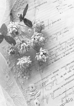 もんの🔞なお話