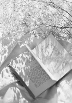 俺のラブラドール(もん特製⭐️千越え記念癖強小説🐶🦴)