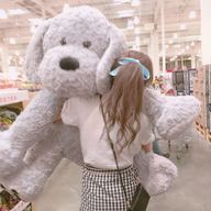 Shunsukeさんのアイコン画像