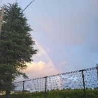 れいお(僕に無差別フォローするな)さんのアイコン画像