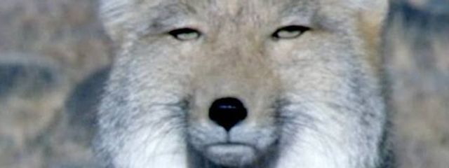 製氷機 復活さんの壁紙画像