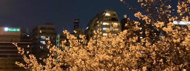 なきさんの壁紙画像