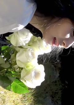 露草  
