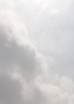 『護衛のはずなのに、』【呪術×ヒロアカ】