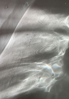 水泡症候群(道長)