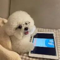 ’jpdgさんのアイコン画像