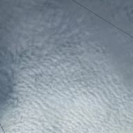 あさんのアイコン画像