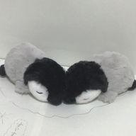 推しがいいさんのアイコン画像