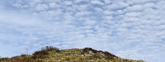 ひますずさんの壁紙画像