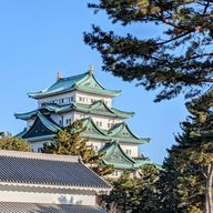 ひますずさんのアイコン画像