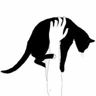 wakaさんのアイコン画像