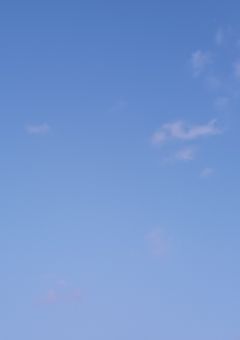 神酒家は魔界でも有名だそうです