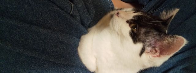 如月 天(きさらぎ そら)💠💜🌙さんの壁紙画像