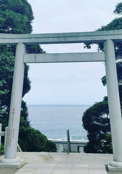 私は五条さんの婚約者を辞退します