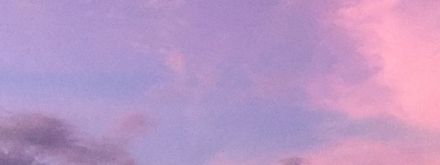 しゅりさんの壁紙画像