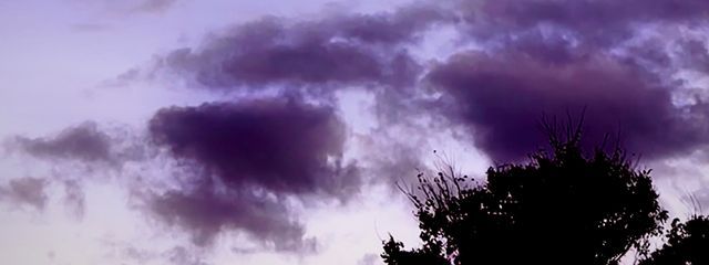 koka🦊🍇さんの壁紙画像