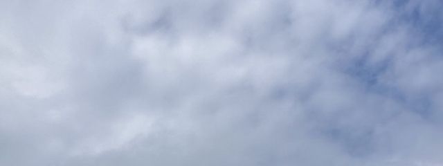 もかさんの壁紙画像