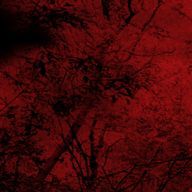 花一華さんのアイコン画像