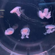 なぎさんのアイコン画像