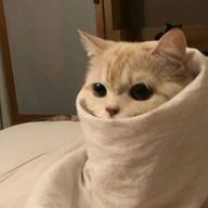 :/さんのアイコン画像