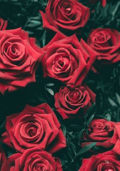 執事と誤ちのプリンセス