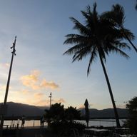 ひよこさんのアイコン画像