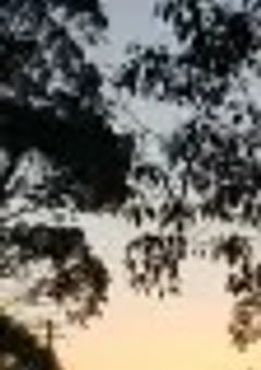 元命理のおしゃべり部屋❦