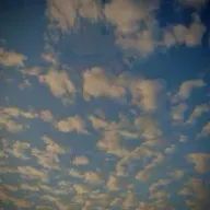 manamamaさんのアイコン画像