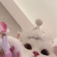 れさんのアイコン画像