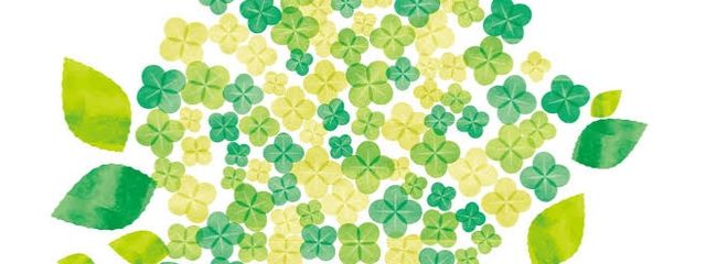 叶菠さんの壁紙画像