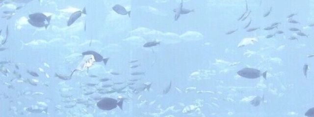ゆきなんなん⛄❄🐑さんの壁紙画像