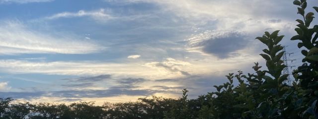 早寝早起さんの壁紙画像