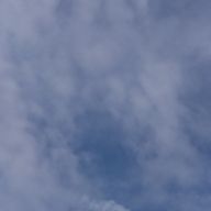 ぽにょりんちょさんのアイコン画像