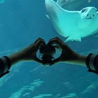 ゆい⚔️さんのアイコン画像