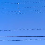 にゃぉさんのアイコン画像