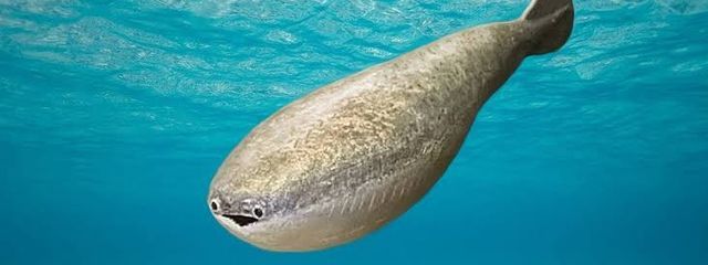 かんてん@復帰！！！さんの壁紙画像